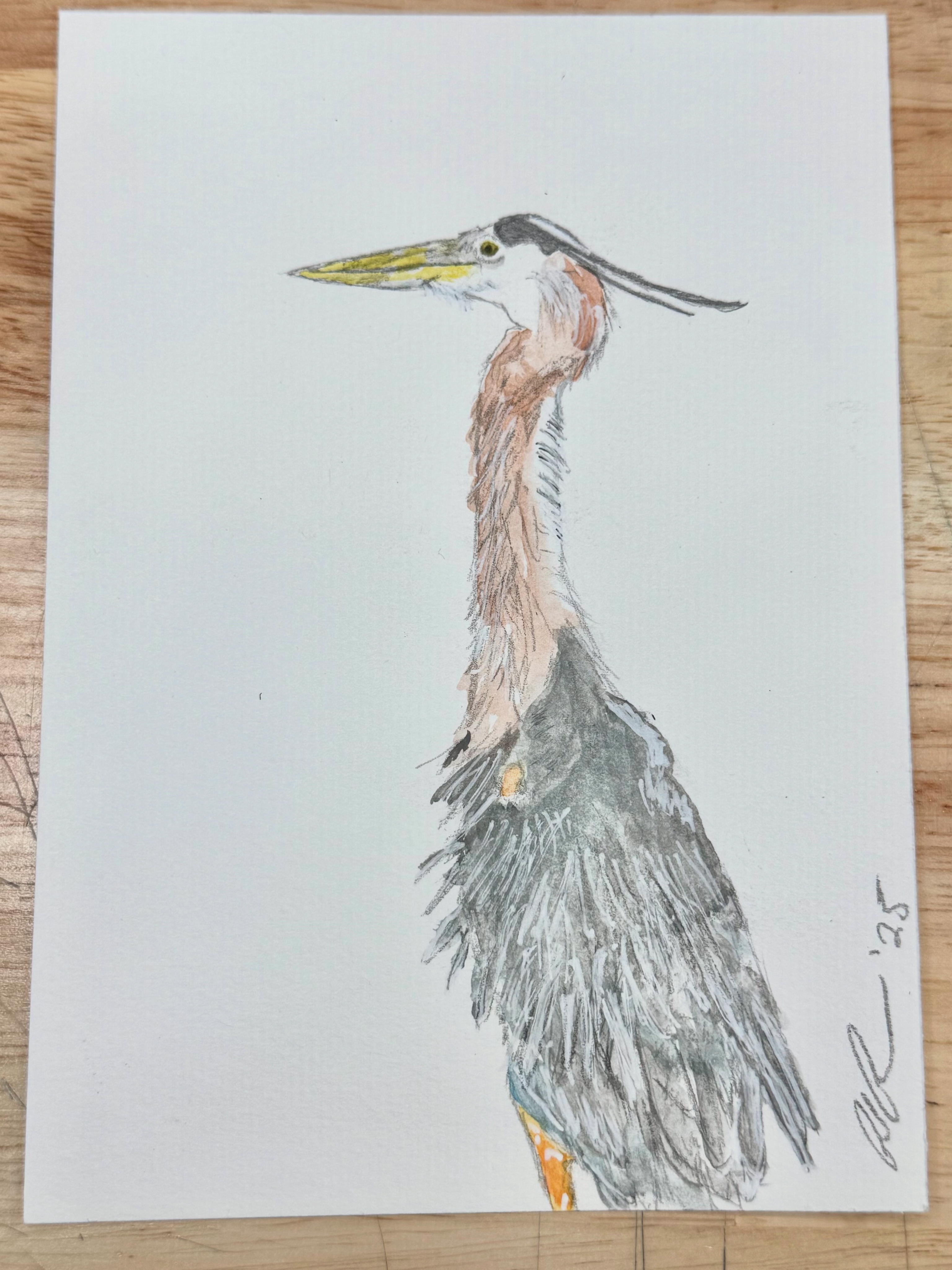 Hand Painted Art