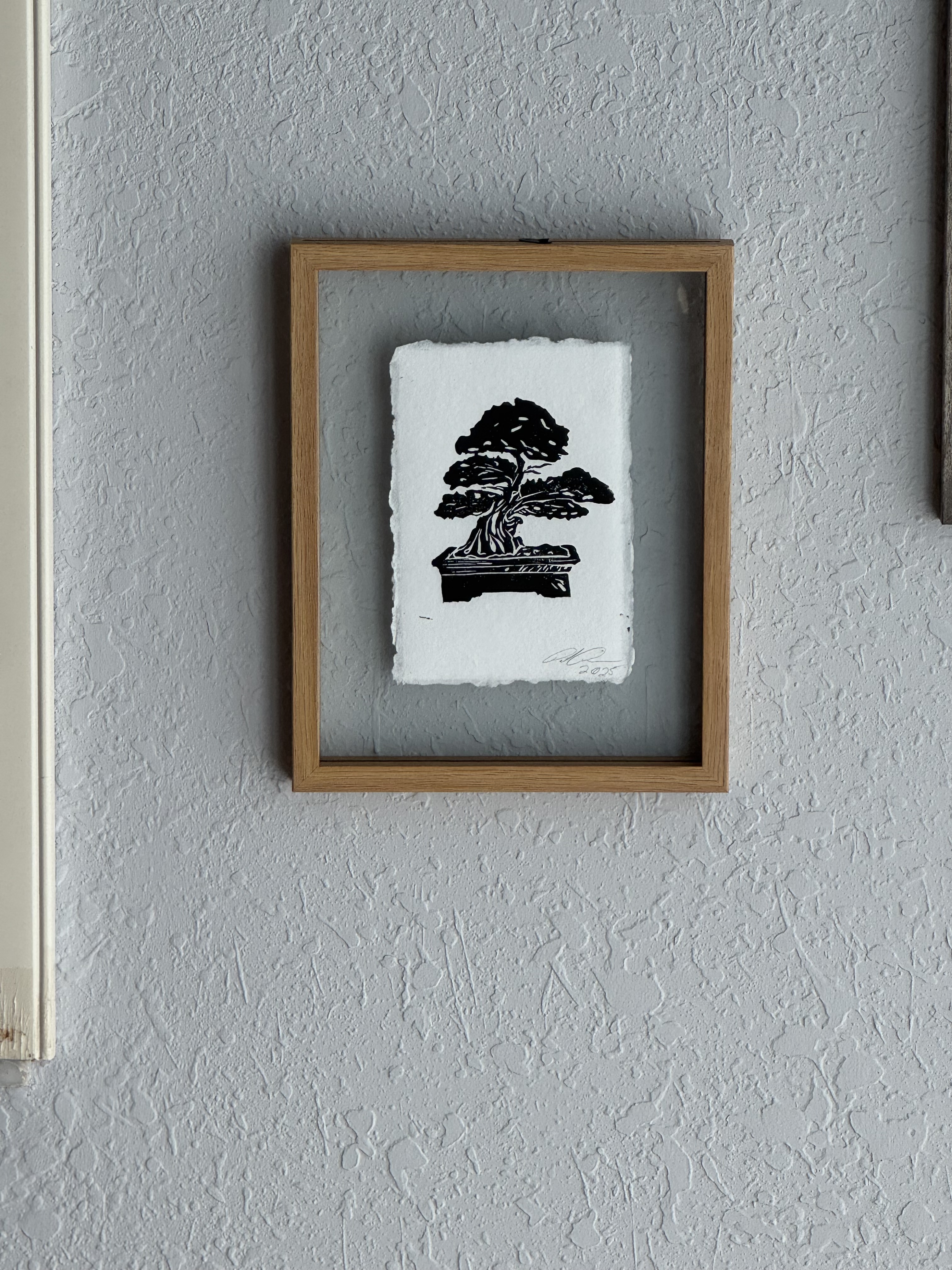 Bonsai Tree