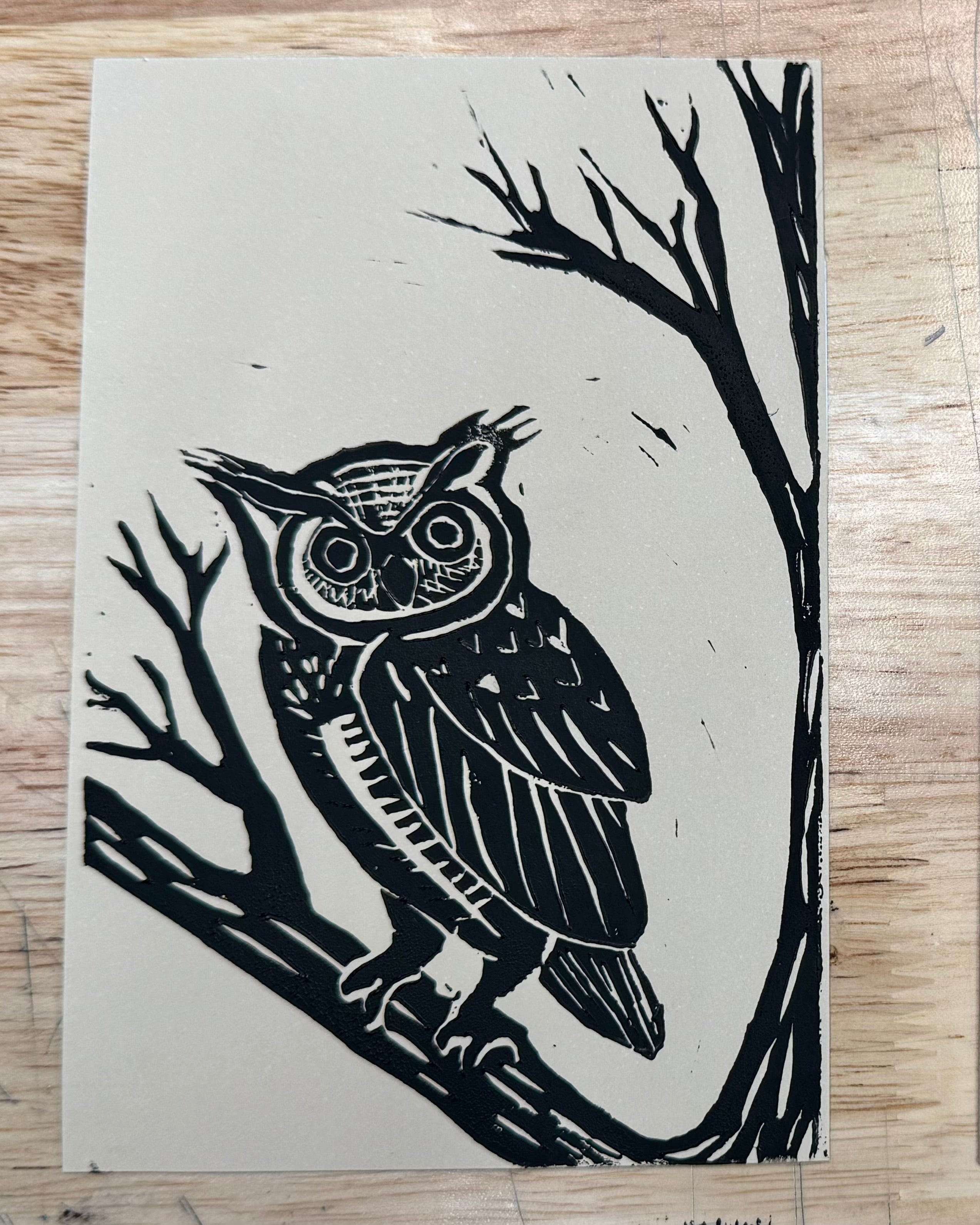Owl in a Tree