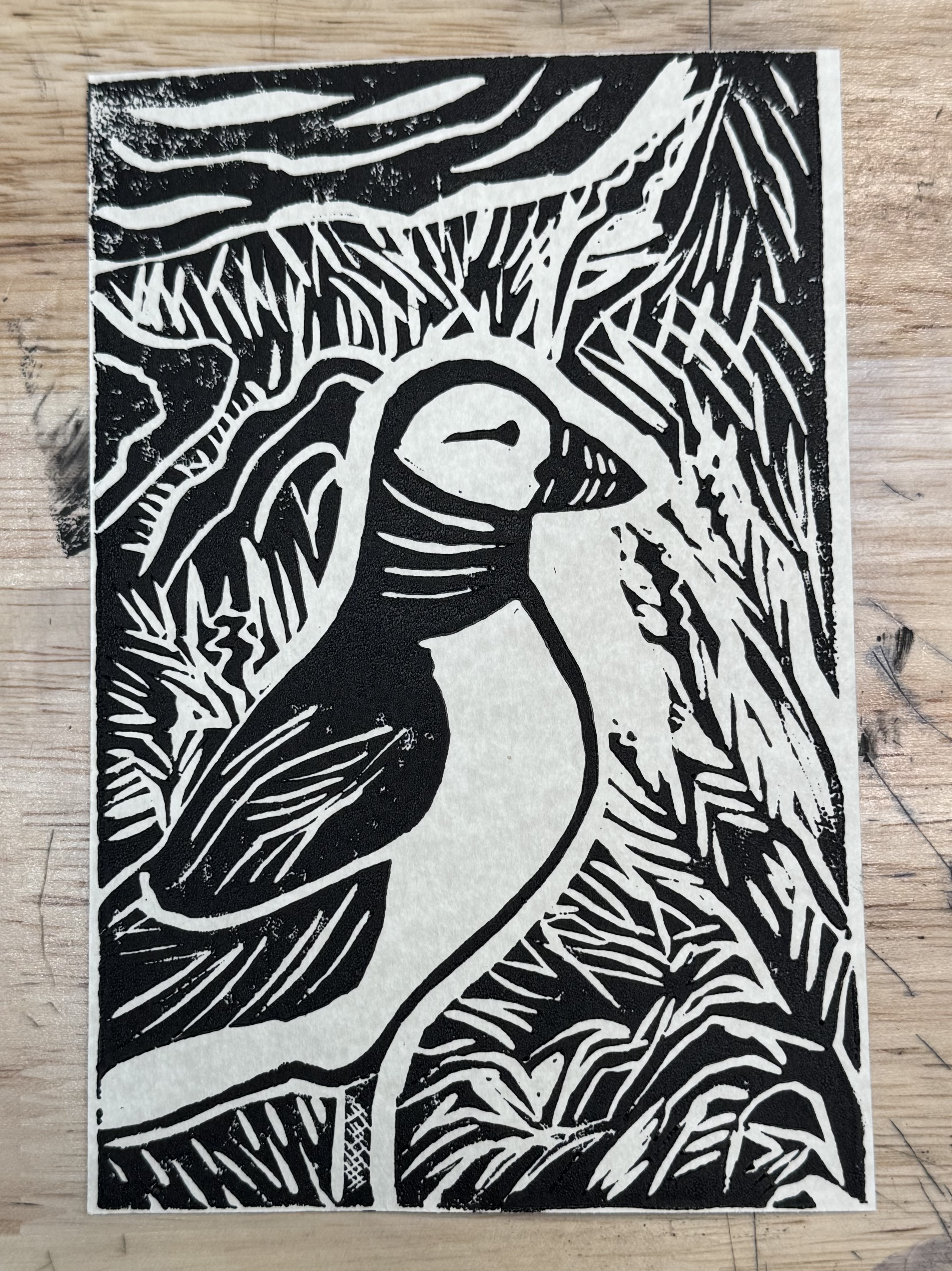 Puffin on a Cliffside